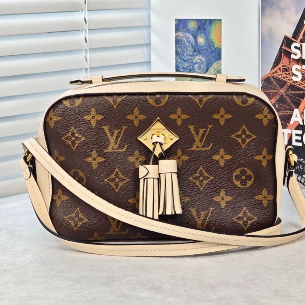 Louis Vuitton Women Pre-Loved Bag Very Good Condition